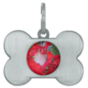 Médaillons Pour Animaux Domestiques Beau Alien Crimson.jpg