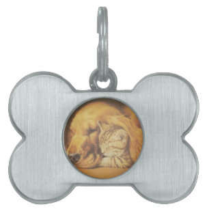 Médaillons Pour Animaux Domestiques Beau art Extraordinaire de chats et de chats de ch