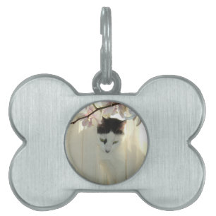 Médaillons Pour Animaux Domestiques Belle Chat Blanc et Noir