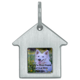 Médaillons Pour Animaux Domestiques Berger Blanc Suisse.