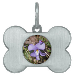 Médaillons Pour Animaux Domestiques Birds-Foot Violet w/ Bluets