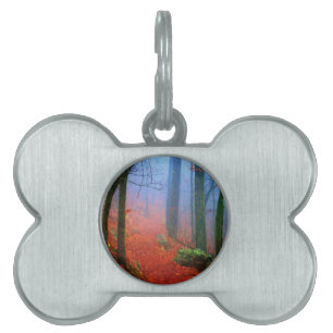 Médaillons Pour Animaux Domestiques Blue fog