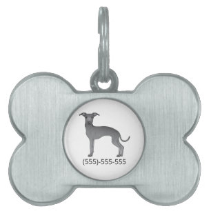 Médaillons Pour Animaux Domestiques Blue Italian Greyhound Cute Dog Et Numéro De Télép