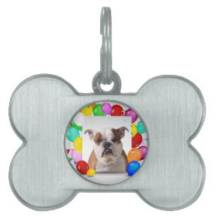 Médaillons Pour Animaux Domestiques Bouledogue avec ballons colorés thème d'anniversai