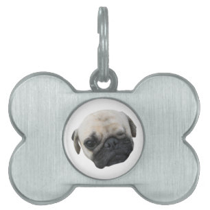 Médaillons Pour Animaux Domestiques Carlin chiot mignon ami chien ... か わ い い 子 犬