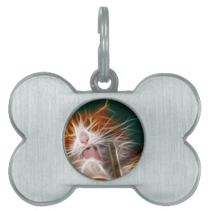 Médaillons Pour Animaux Domestiques chat chaton minous mignon animal familier ronron m