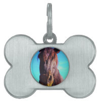 Cheval pourpre avec Bouche verte