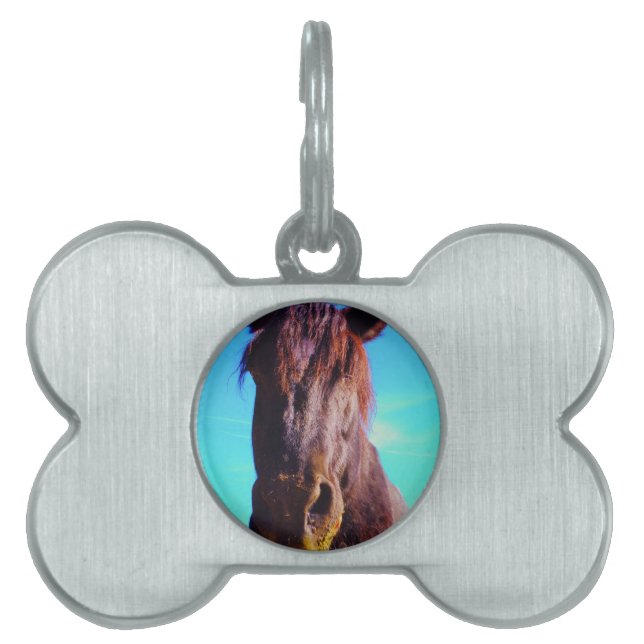 Médaillons Pour Animaux Domestiques Cheval pourpre avec Bouche verte (Devant)