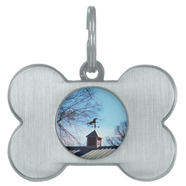 Médaillons Pour Animaux Domestiques Cheval Vane Météo Ciel Bleu (Devant)