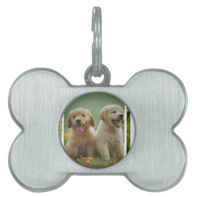 Médaillons Pour Animaux Domestiques chien (Devant)