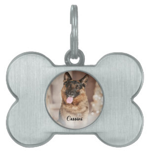 Médaillons Pour Animaux Domestiques Chien de compagnie Funny mignon Identifiant person