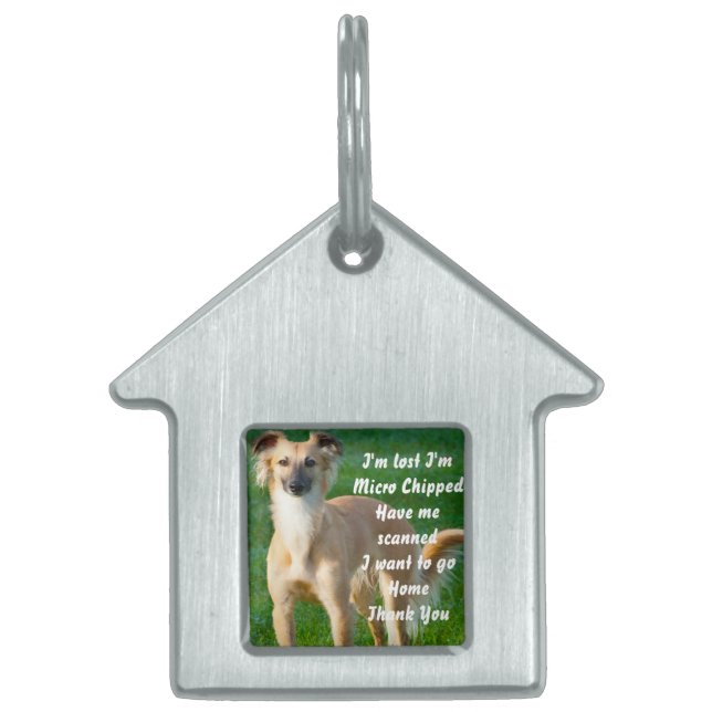 Médaillons Pour Animaux Domestiques Chiens Whippet à longs poils (Devant)