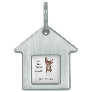 Médaillons Pour Animaux Domestiques Chihuahua Mon meilleur ami Custom Dog House Nom