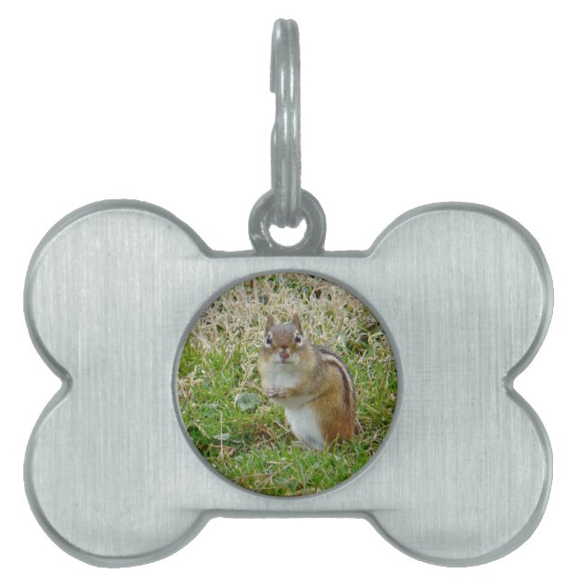 Médaillons Pour Animaux Domestiques Chipmunk oriental (Devant)