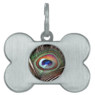 Médaillons Pour Animaux Domestiques Colorful Copper Peacock Feather