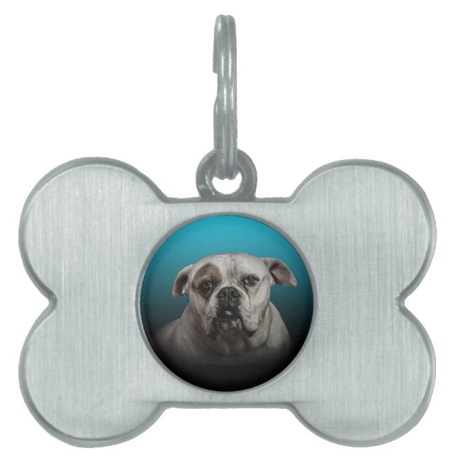 Médaillons Pour Animaux Domestiques Cute Boxer Dog w Blue Black Gradient arrière - pla (Devant)