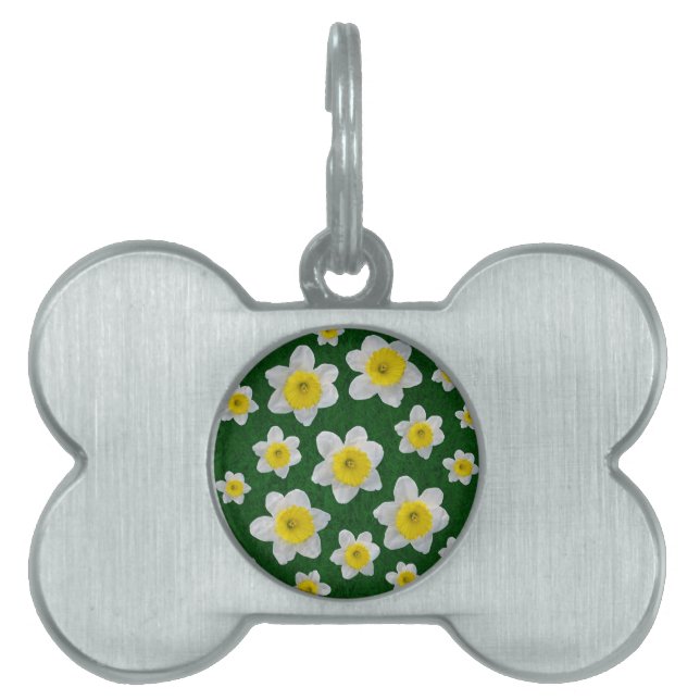 Médaillons Pour Animaux Domestiques Daffodiques de printemps (Devant)