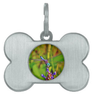 Médaillons Pour Animaux Domestiques Dragonfly