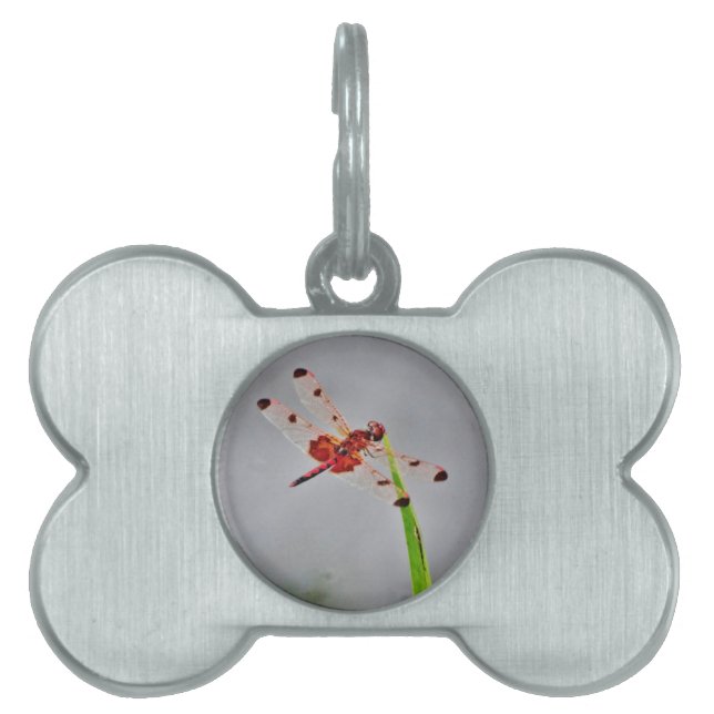 MÉDAILLONS POUR ANIMAUX DOMESTIQUES DSC00029.JPG (Devant)