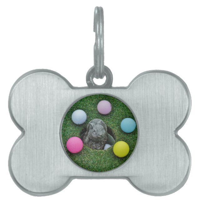 MÉDAILLONS POUR ANIMAUX DOMESTIQUES DSCF0698.JPG (Devant)