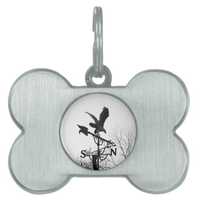 Médaillons Pour Animaux Domestiques Eagle and Arrow (Devant)