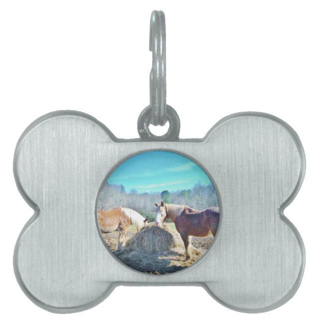 Médaillons Pour Animaux Domestiques Ébauche secourue Chevaux mangeant foin (Devant)