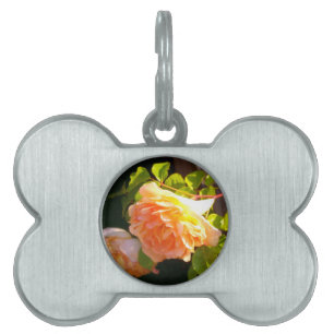 Médaillons Pour Animaux Domestiques Elégant classique pêche orange rose floral
