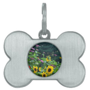 Médaillons Pour Animaux Domestiques Elégant jardin fleuri tournesol zinnia mums