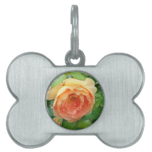 Médaillons Pour Animaux Domestiques Élégant Rose orange