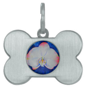 Médaillons Pour Animaux Domestiques Elégante fleur florale d'orchidée rose-bleu