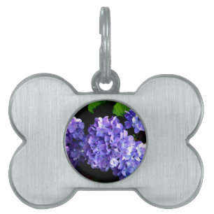 Médaillons Pour Animaux Domestiques Elégante hydrangée violette fleurie bleu pourpre