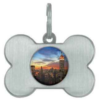 Médaillons Pour Animaux Domestiques Empire State Building New York