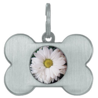 Médaillons Pour Animaux Domestiques Étiquette de collier de chien de *Daisy*