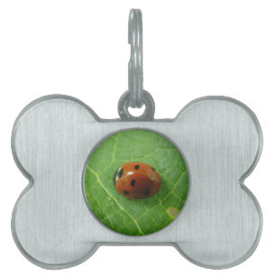 Médaillons Pour Animaux Domestiques Étiquette de l'animal de compagnie Ladybug