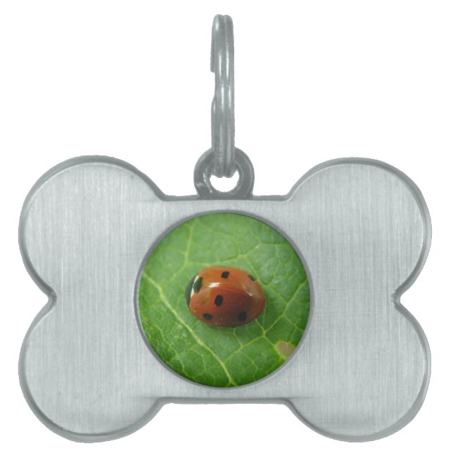 Médaillons Pour Animaux Domestiques Étiquette de l'animal de compagnie Ladybug (Devant)