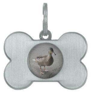 Médaillons Pour Animaux Domestiques Étiquette drôle de chien de canard