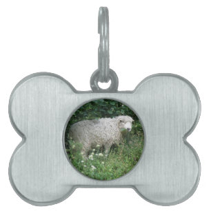 Médaillons Pour Animaux Domestiques Étiquette Mignonne blanc bouffée Manger animal de