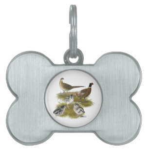Médaillons Pour Animaux Domestiques Famille de faisans à collier