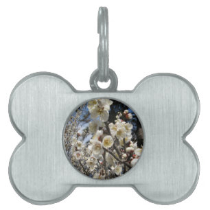 Médaillons Pour Animaux Domestiques Fleur de cerisier blanc / Sakura / ク(桜)