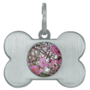 Médaillons Pour Animaux Domestiques Fleur de cerisier rose / Sakura / ク(桜)