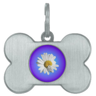 Médaillons Pour Animaux Domestiques Fleur de marguerite blanche dégradé floral bleu vi