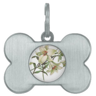 Médaillons Pour Animaux Domestiques fleurit le lis blanc de fleurs vintages de ressort