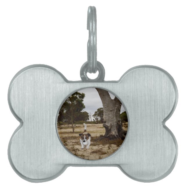 Médaillons Pour Animaux Domestiques Fox Terrier Ball Temps De Jeu, (Devant)