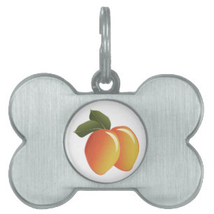 Médaillons Pour Animaux Domestiques Fruit de mangue