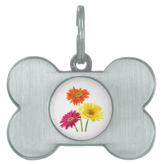 Médaillons Pour Animaux Domestiques Gerbera Daisies (Devant)