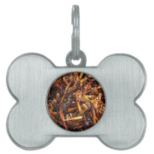 Médaillons Pour Animaux Domestiques Grasshopper frit (Takkataen Thot) Alimentation asi
