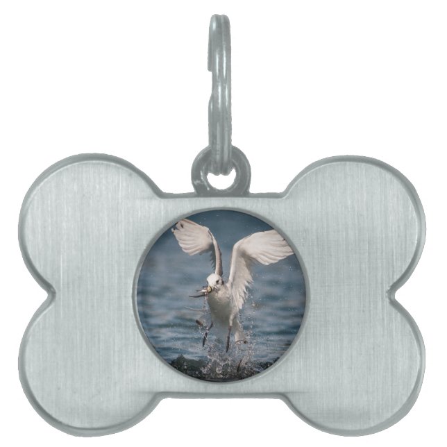Médaillons Pour Animaux Domestiques Hovering Kittiwake (Devant)