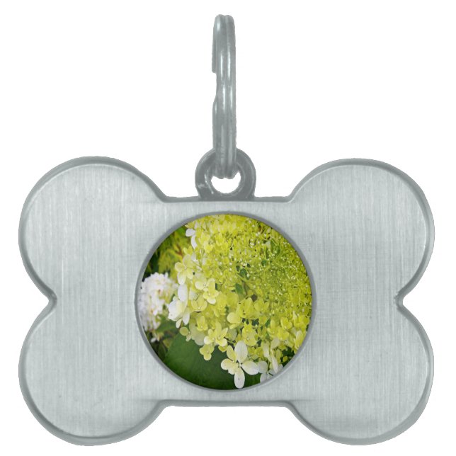 Médaillons Pour Animaux Domestiques Hydrangea Limelight Vert Chartreuse Élégant (Devant)