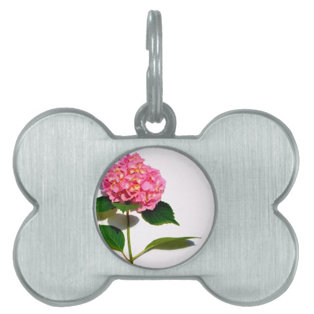 Médaillons Pour Animaux Domestiques Hydrangée rose rose fleur rose (Devant)