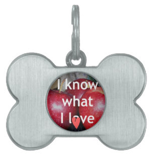 Médaillons Pour Animaux Domestiques "I Know What I Love" - Design à thème Apple